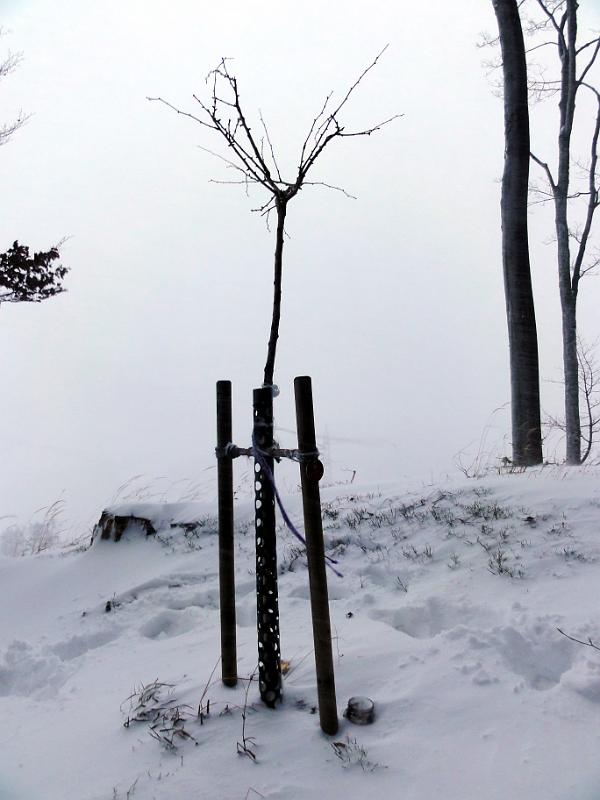 2011 12 20 A